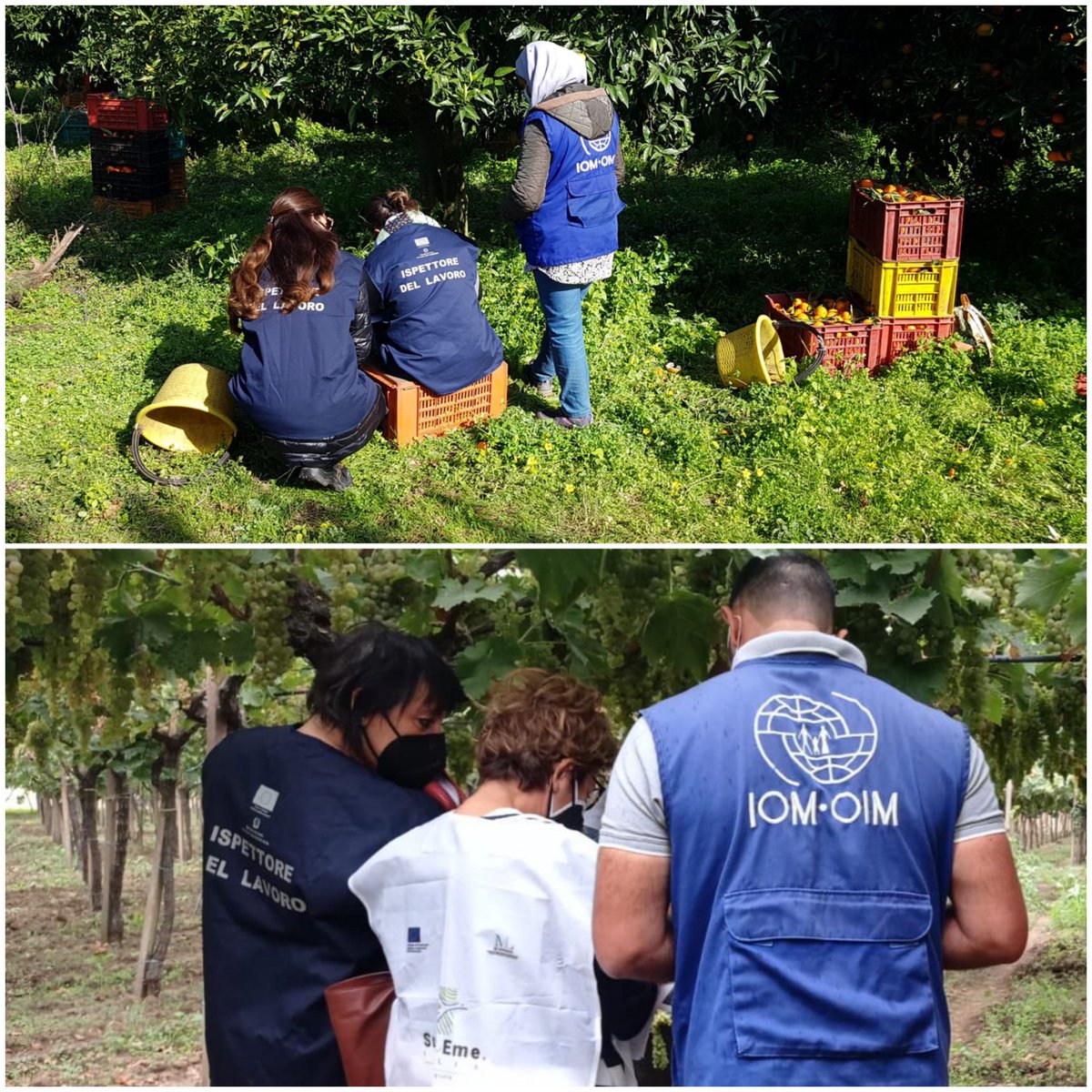 INL_gov's tweet image. Progetto #SuPreMe.Task forces coordinate da #INL Reggio Calabria e Lecce controllano 41 aziende e 157 posizioni lavorative. Scoperti 16 lavoratori #innero, 6 vittime di #sfruttamento e violazioni delle norme di sicurezza sul lavoro. Denunciati i trasgressori e sospese 8 attività.