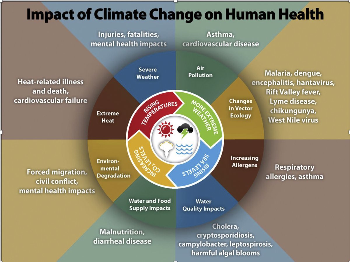 New feature discusses how children may be more vulnerable to the health impacts of climate change #climatechange#pediatrics#children#healthdeterminants#NP
ow.ly/OOZR50IJ5Xz