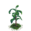 lupercaliana's tweet photo. Tried out the tree draw tutorial by @Aurumek_ . It was fun. I learned some. Step 4 was tricky though. Never used overlays before. Color dodge worked better in this case.

#pixelart #pixel #pixelartist #tree #plant #treeplant #aseprite #pixels https://t.co/09OImWaG15