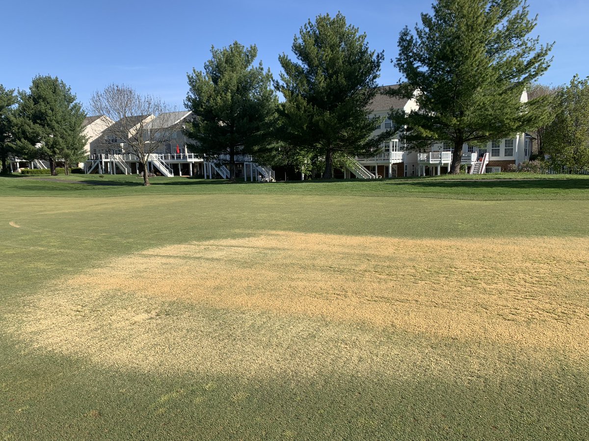 PCagronomy's tweet image. Getting stuff done. Detail work continues and topdressing low areas in fairways. #details #teamworkmakesthedreamwork