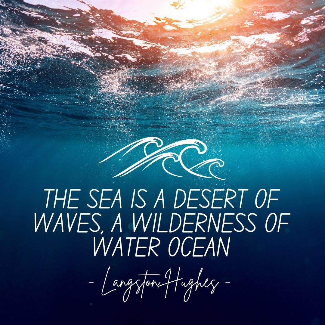 TheSaltyHands's tweet photo. #oceanquote #thursdayvibes https://t.co/B4sEiOZDWO