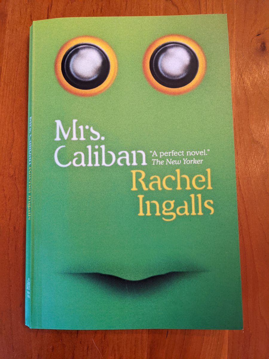 OK you were all right about this one. Brutal and strange and funny and singular. (And this is the most perfect cover.)