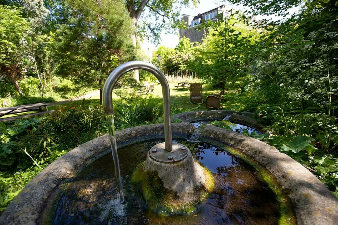 Parken010's tweet photo. In de serie #prachtparken 🌳 vandaag park nummer 2. De #SchatvanSchoonderloo in @delfshaven_rdam. Een idyllisch buurtparkje beheerd door vrijwilligers uit de buurt. Kortom 'n prachtpark(je). Lees er meer over op onze website 📲: https://t.co/SEV4hy2Tpy 📷 foto's: Tom Pilzecker https://t.co/lRWEDuw5sF