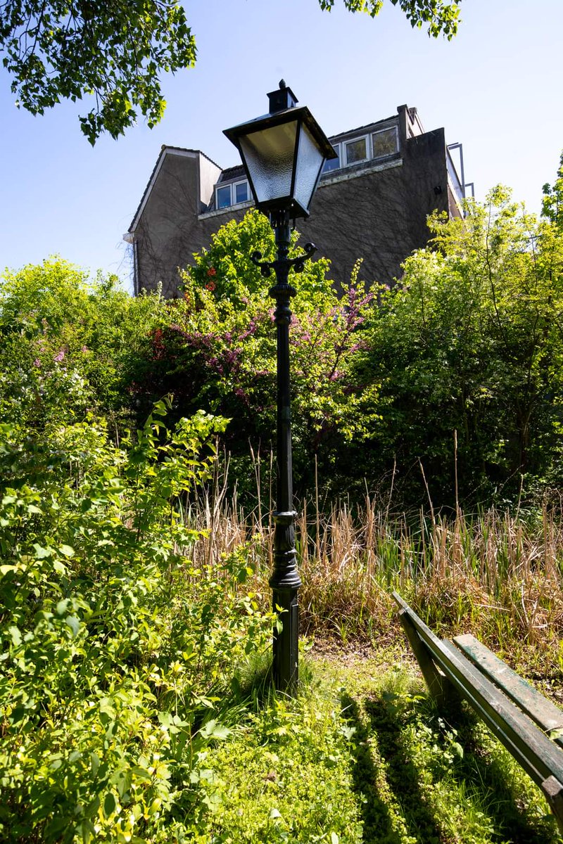 In de serie #prachtparken 🌳 vandaag park nummer 2. De #SchatvanSchoonderloo in <a href="/delfshaven_rdam/">Delfshaven Rotterdam</a>. Een idyllisch buurtparkje beheerd door vrijwilligers uit de buurt. Kortom 'n prachtpark(je). Lees er meer over op onze website 📲: rotterdamseparken.nl/site/parken/sc… 📷 foto's: Tom Pilzecker