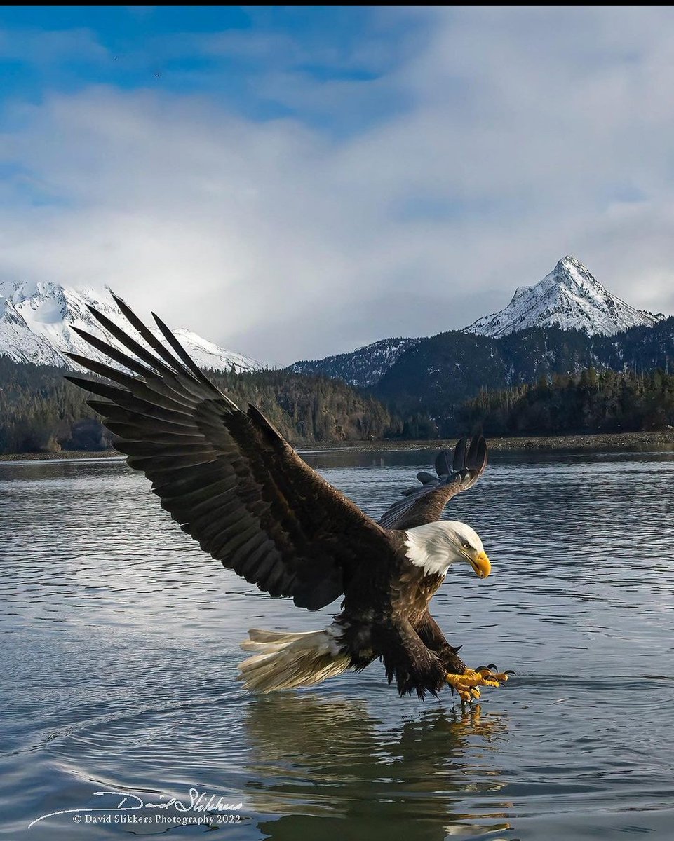 jaingurug's tweet photo. #Wilders #birdwatching #photo #NaturePhotography #thursdayvibes https://t.co/LkphMKp4ad