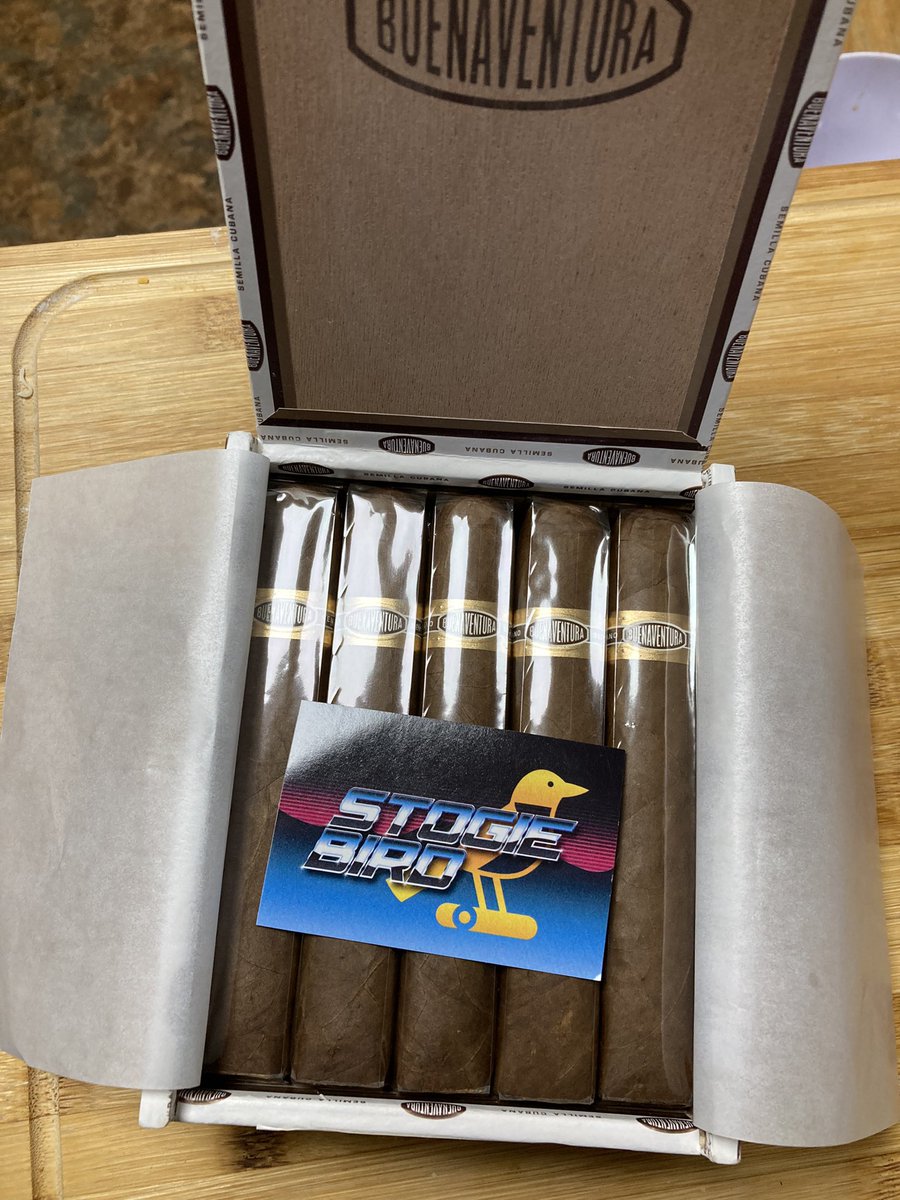 Btw, thanks to <a href="/stogiebird/">Stogiebird</a> for sponsoring this #TuraThursday. <a href="/aundreyamarie/">Audrey</a>