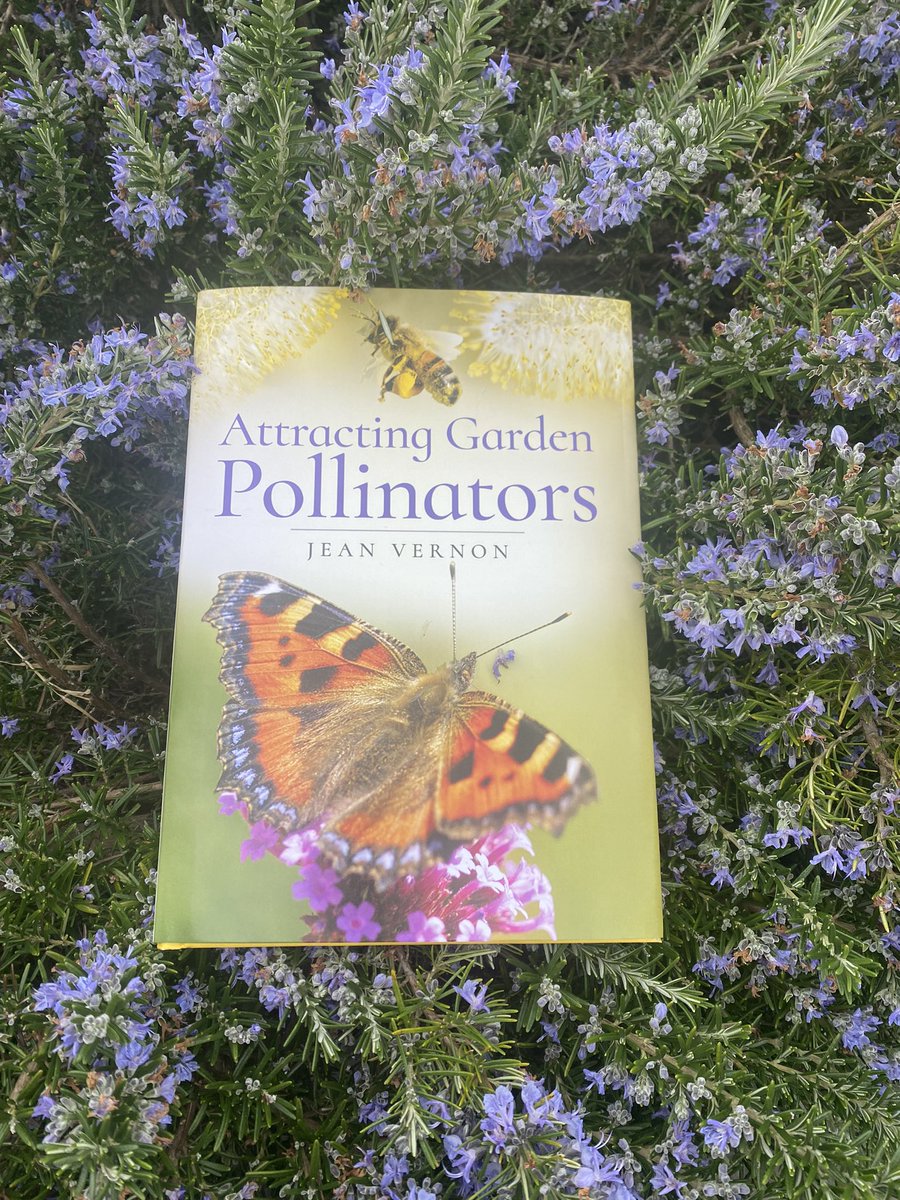 My new book Attracting Garden Pollinators has been published today! Took a bit longer getting from the printers but it’s now here! Just waiting for real copies to add to my website! Watch this space! #newbook #pollinators #booklaunch #attractinggardenpollinators #excitingtimes 🙏
