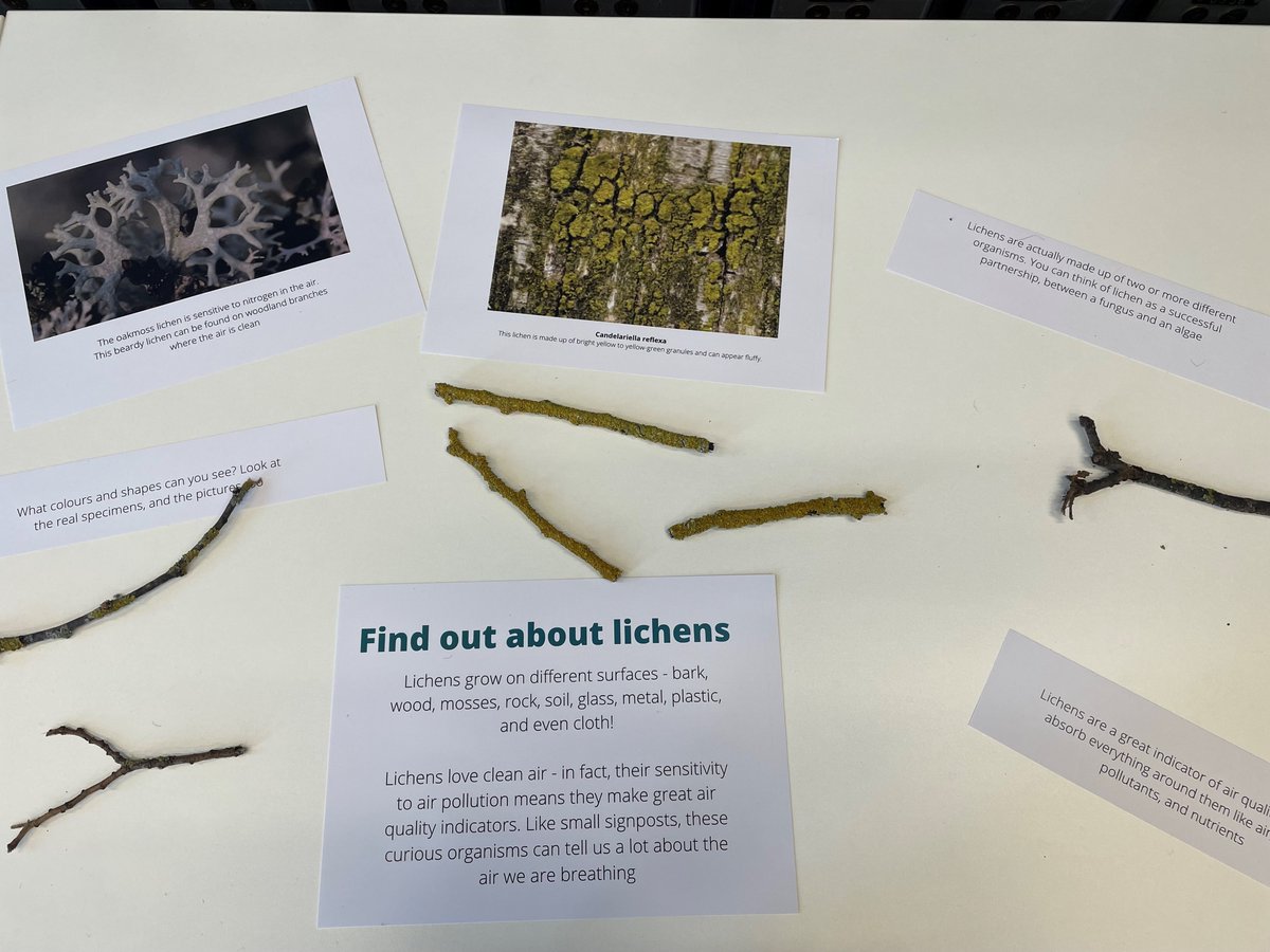 UOBengage's tweet photo. Why not join us at #TheExchangeUoB (Centenary Square), for free family activities today &amp; tomorrow? The theme is All About Air - take part in quizzes and games, meet the scientists @WMAir_UoB &amp; make your own pollution catcher to take home.

10.30am - 3.30pm, drop in and see us! https://t.co/diCiIdlYor
