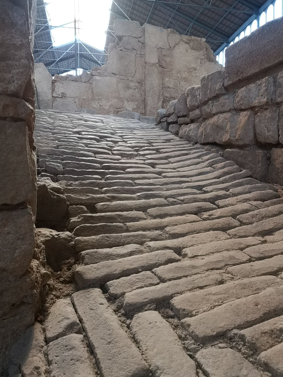 ElBornCCM's tweet photo. 📍Als magatzems de la #CasaColomer s'hi trobava la taverna dels Fadrins.
🍷Aquesta va ser propietat del taverner Gabriel Colomer. Quan va morir, el 1684, la seva vídua, Eulàlia Colomer, va continuar el negoci.
A la 📷hi veiem la rampa per accedir-hi.
#ArqueoBorn #arqueologia https://t.co/OMetuXP6XA