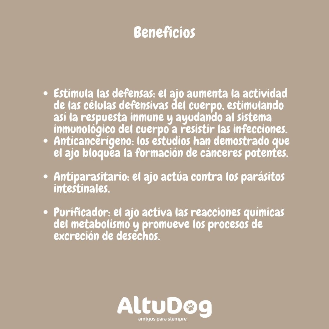 Altudog's tweet image. Lo primero que queremos aclarar es que la toxicidad del ajo 🧄 para los perros🐶 está directamente relacionada con la cantidad ingerida.
.
Porque el ajo no es malo en sí mismo, pero puede convertirse en un alimento peligroso si un perro come más de lo recomendado.