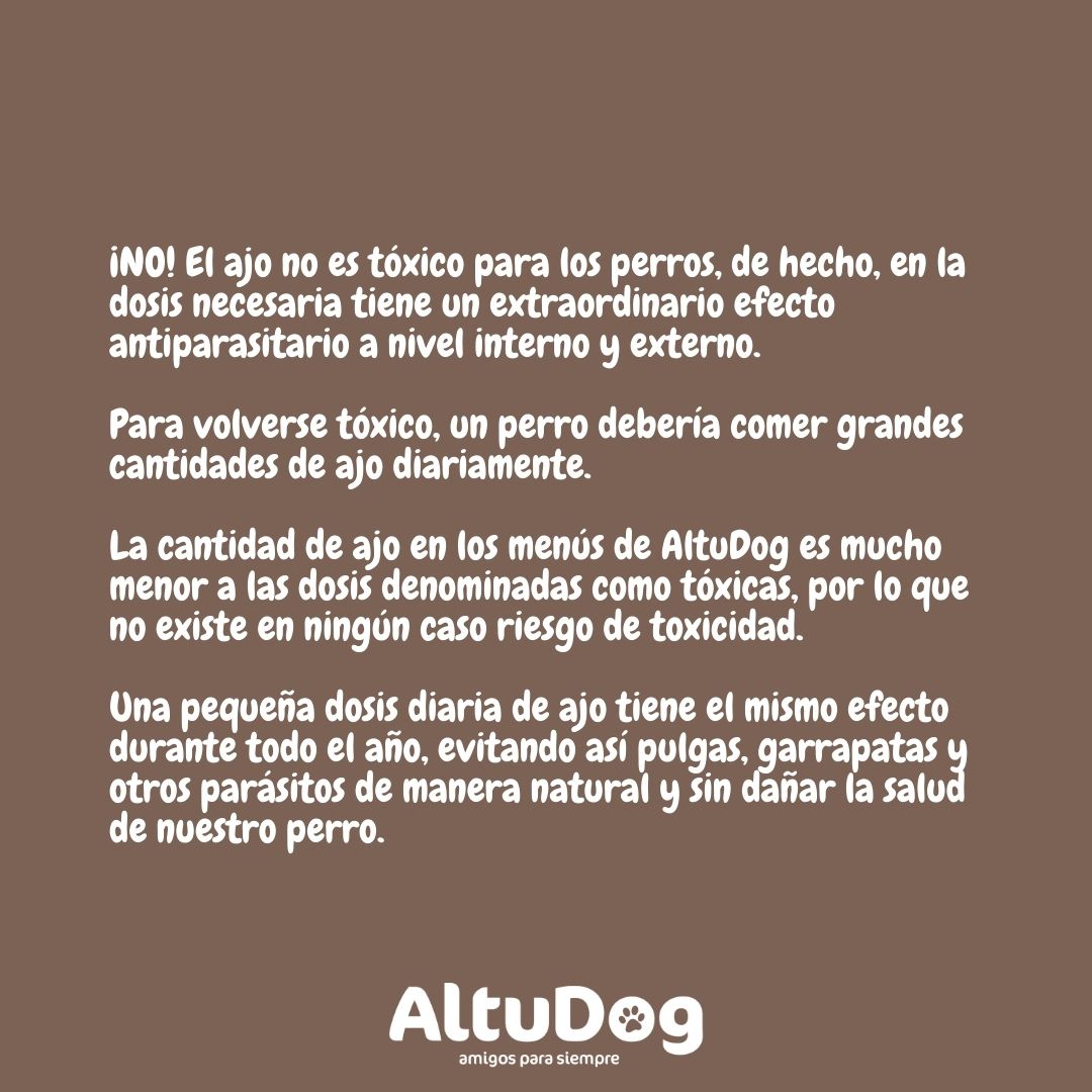 Altudog's tweet image. Lo primero que queremos aclarar es que la toxicidad del ajo 🧄 para los perros🐶 está directamente relacionada con la cantidad ingerida.
.
Porque el ajo no es malo en sí mismo, pero puede convertirse en un alimento peligroso si un perro come más de lo recomendado.
