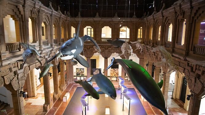 IAJuventud's tweet image. 🔎¿Quieres hacer algo #distinto por #Sevilla?
🟡Descubre la Casa de la Ciencia

📍Casa de la Ciencia (Sevilla)
📆Todo el año
💸Consultar

👀👉🏾juntadeandalucia.es/cultura/agenda…

@TurismoAnd @Ayto_Sevilla @JuntaSevilla