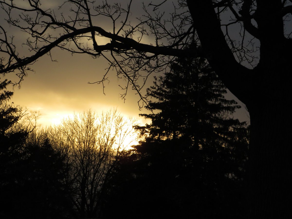 PLKlein_Author's tweet photo. "A high-minded man does not hold grudges, for it is not the mark of a great soul to remember injuries." ~ #Aristotle #ThinkingOutLoud #ThursdayThoughts #ThursdayMotivation #QuickQuotes #HighMinded #HoldGrudges #GreatSoul #Injuries https://t.co/MXc11Xj618