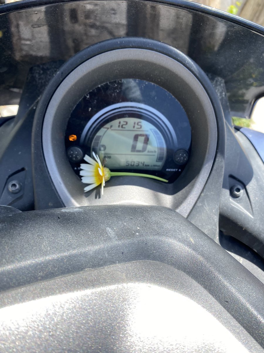 busegun96's tweet photo. Okulda birisi sürekli motoruma çiçek bırakıyoo 🤷🏼‍♀️ https://t.co/utz4a4UeWG