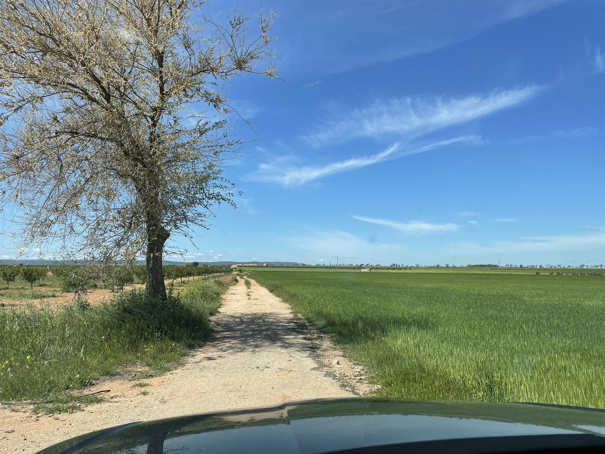 jpiedrahita's tweet photo. Si la semana pasada arropamos en Paris al #PBWS2022 Week, como no vamos a hacerlo hoy en Jaén con el lanzamiento de su flamante nuevo Club de #Marketing?! Donde el sector nos requiere, ahí vamos! Tras un exitoso #Conectados22 ayer, hoy toca carretera marketera hasta Jaén! 🚙💪 https://t.co/QkFdctK4ll