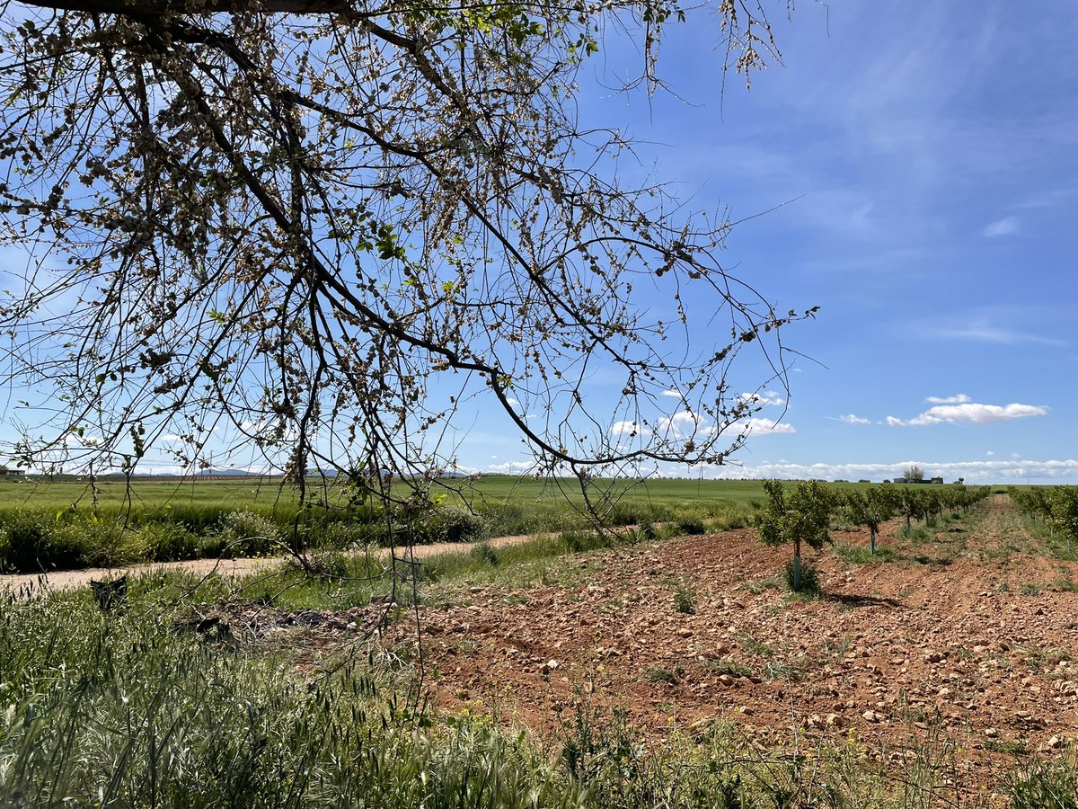 Si la semana pasada arropamos en Paris al #PBWS2022 Week, como no vamos a hacerlo hoy en Jaén con el lanzamiento de su flamante nuevo Club de #Marketing?! Donde el sector nos requiere, ahí vamos! Tras un exitoso #Conectados22 ayer, hoy toca carretera marketera hasta Jaén! 🚙💪