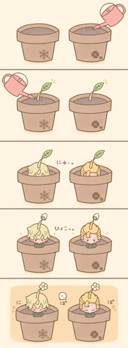 我が家にふゆタケピクミンがやってきた🌱 