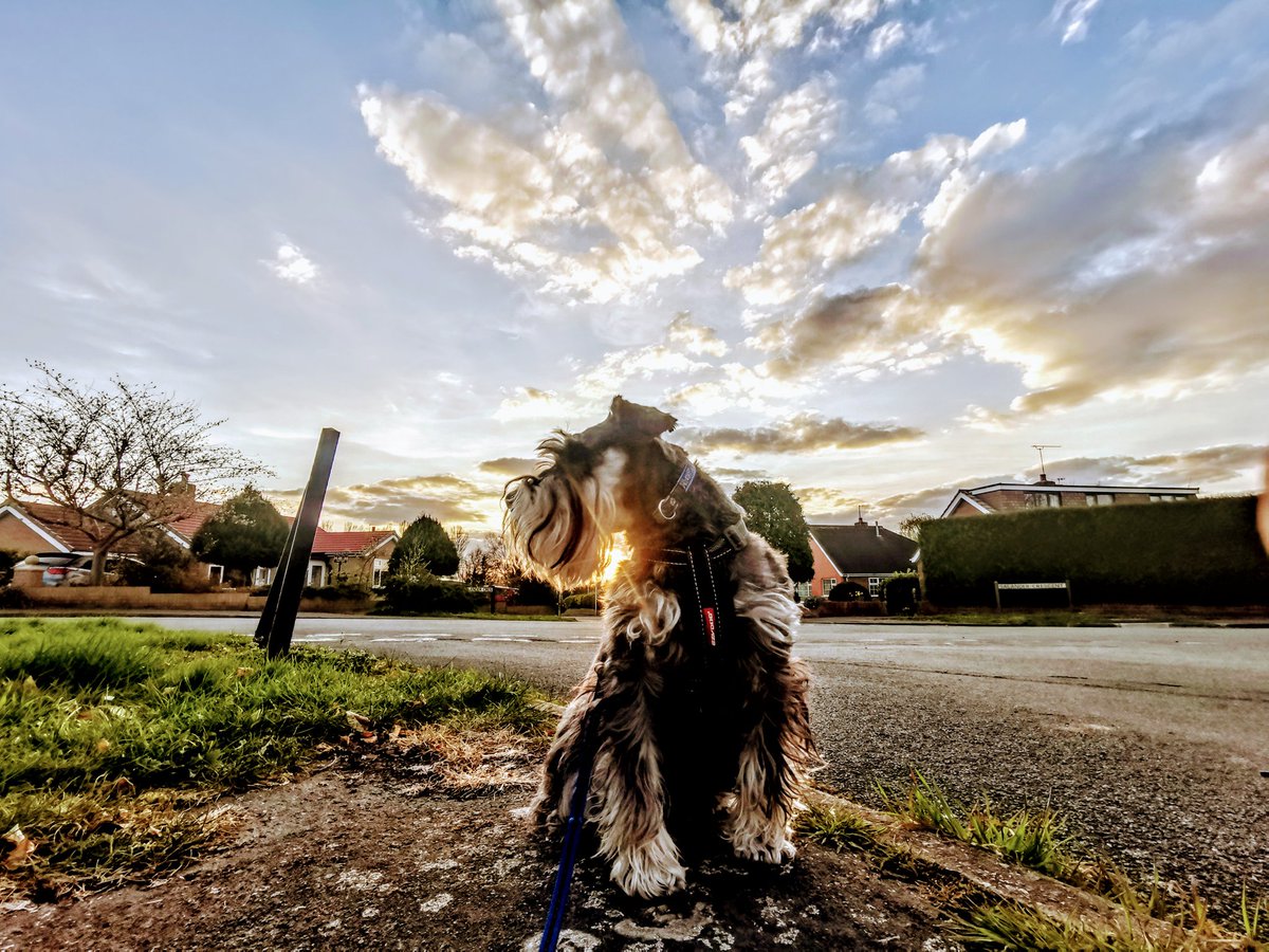 Mark Bickerstaffe tweet media