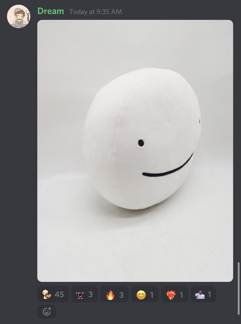 rexloves_'s tweet photo. Watch dreams lil fuck ass pillow cost 50 dollars a piece 😭😭 https://t.co/X1q1eL3406