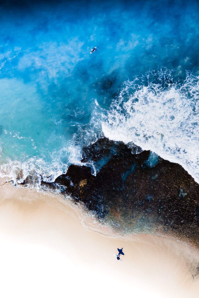 Tail Winds Aerial Media tweet media