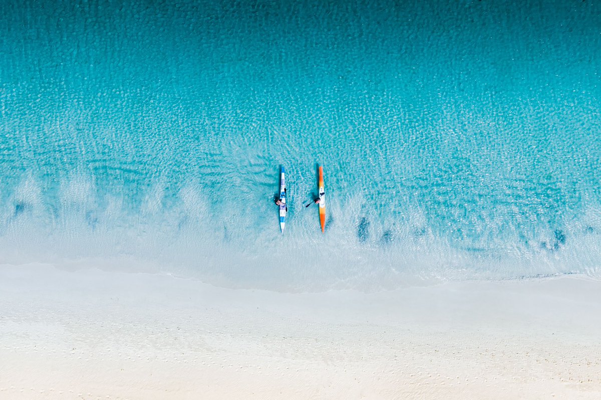 Tail Winds Aerial Media tweet media