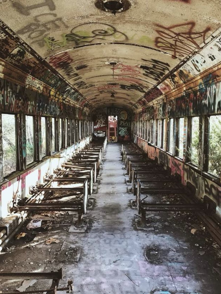 Lily 💙💛 tweet media