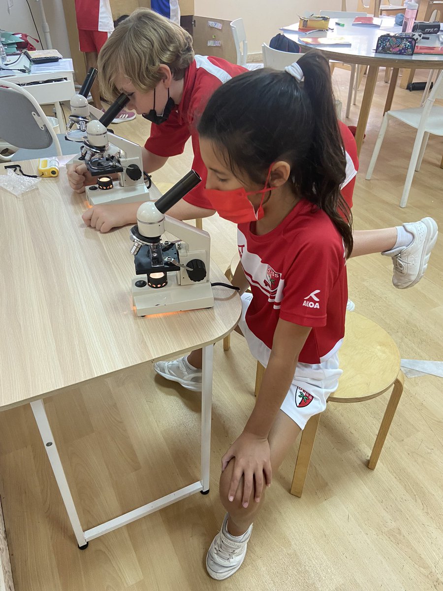 DESSyear5's tweet photo. Checking out our Sea Monkeys using the microscopes 😍!!! @DESSscience #DESSyear5red #DESSstemweek2022 #science https://t.co/iJAKPZEWod
