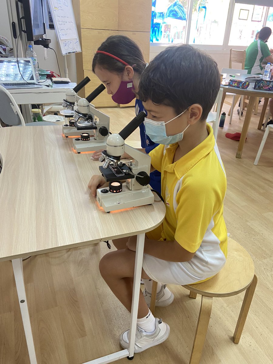 DESSyear5's tweet photo. Checking out our Sea Monkeys using the microscopes 😍!!! @DESSscience #DESSyear5red #DESSstemweek2022 #science https://t.co/iJAKPZEWod