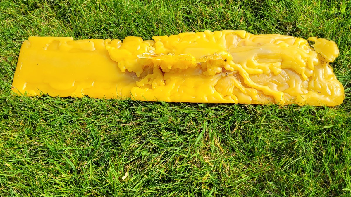 QuantockQueen's tweet photo. I cleaned out the solar wax melter yesterday (Free heat!). Lovely block of golden wax from old brood frames and super frames. Love the bubble patterns on the underside. Just 2 filters and it'll be good for making candles & wax food wraps. ๐ฏ๏ธ๐๐
#ThorneBeehives
#Britishbee https://t.co/QG2h1SdOKb