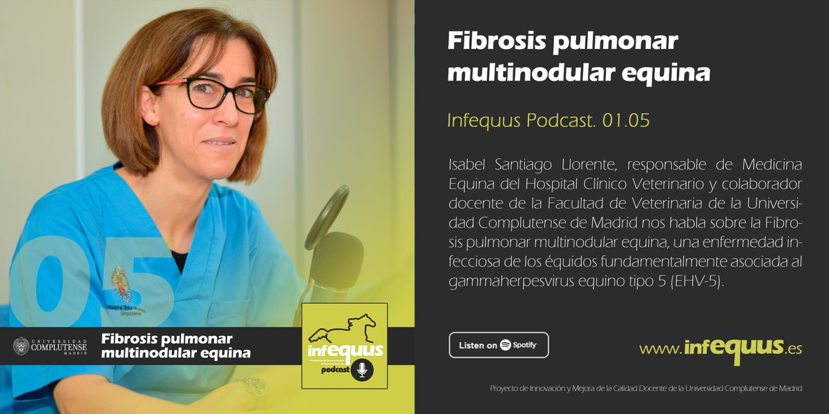VISAVET's tweet photo. Nuevo episodio de #InfequusPodcast 🐎 Isabel Santiago Llorente, responsable de Medicina Equina del @HCVetUCM  y colaborador docente en @VeterinariaUCM @unicomplutense nos habla en esta ocasión sobre la #FibrosisPulmonarMultinodularEquina #EHV5
https://t.co/GZE9g59LMf https://t.co/0v8gGbVBzI