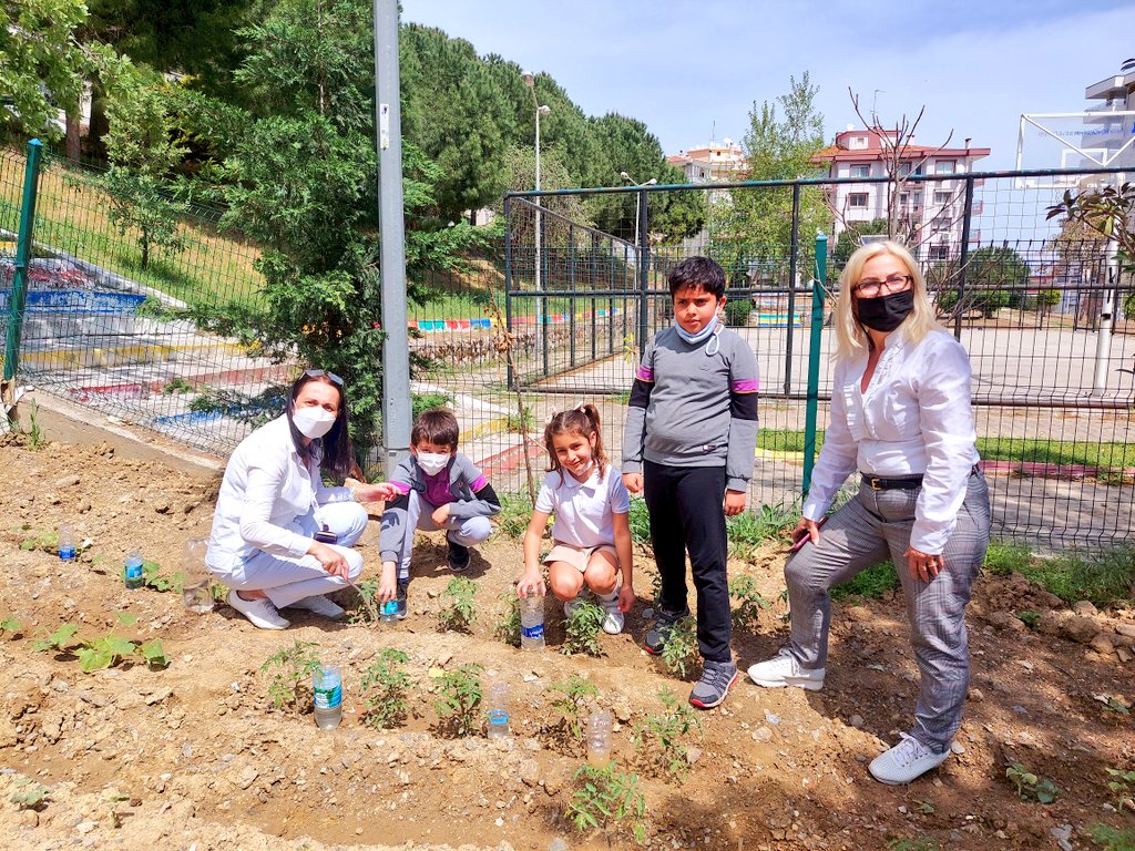 Eko okul ve erkenSTEM kulüpleri eko bahçemizi damlama sulama sistemi ile suluyorlar.💦🌱#UğurluOlmak