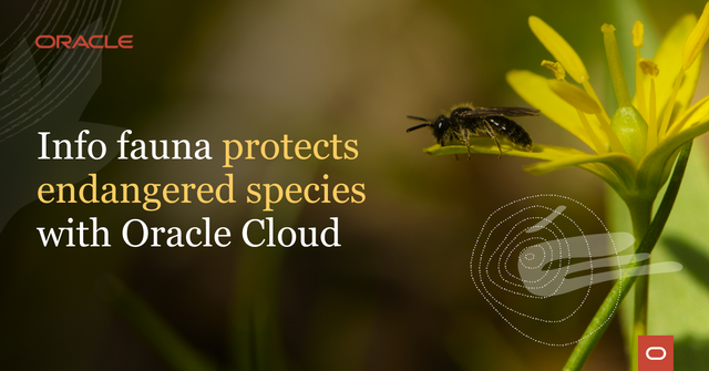 Pierre-Alain Baetz tweet media