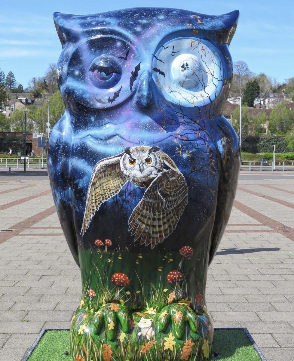 wildinart's tweet photo. We just had to share these beautiful pics by @steelcitysnaps of #thebighoothemel over the sunny Easter weekend! ☀️

This trail has now ended but @ipswicharttrail is coming from 19 June - 3 September and will feature 50 newly designed Big Hoot owls and also Little Hoot owls! 🦉 https://t.co/uiosjIOne5