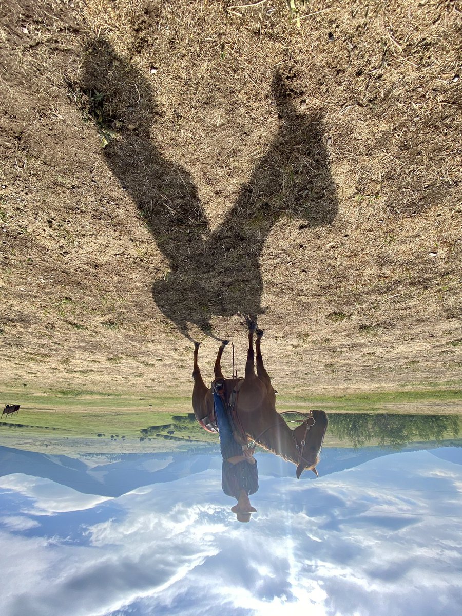 Bill Weir tweet media