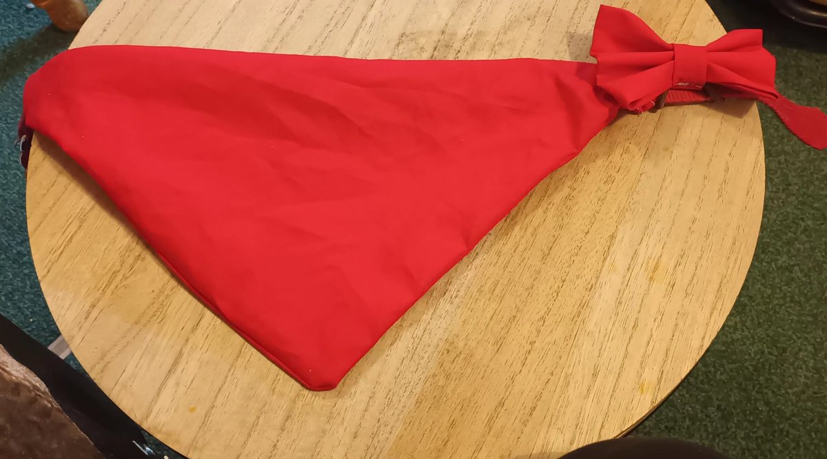 BoxesBowsEzBez's tweet photo. Do we like our new make of the week?
#handmade #petaccessories #pets #petbowtie #petbandana #redbowtie #redbandana https://t.co/lzOcJrCcSc