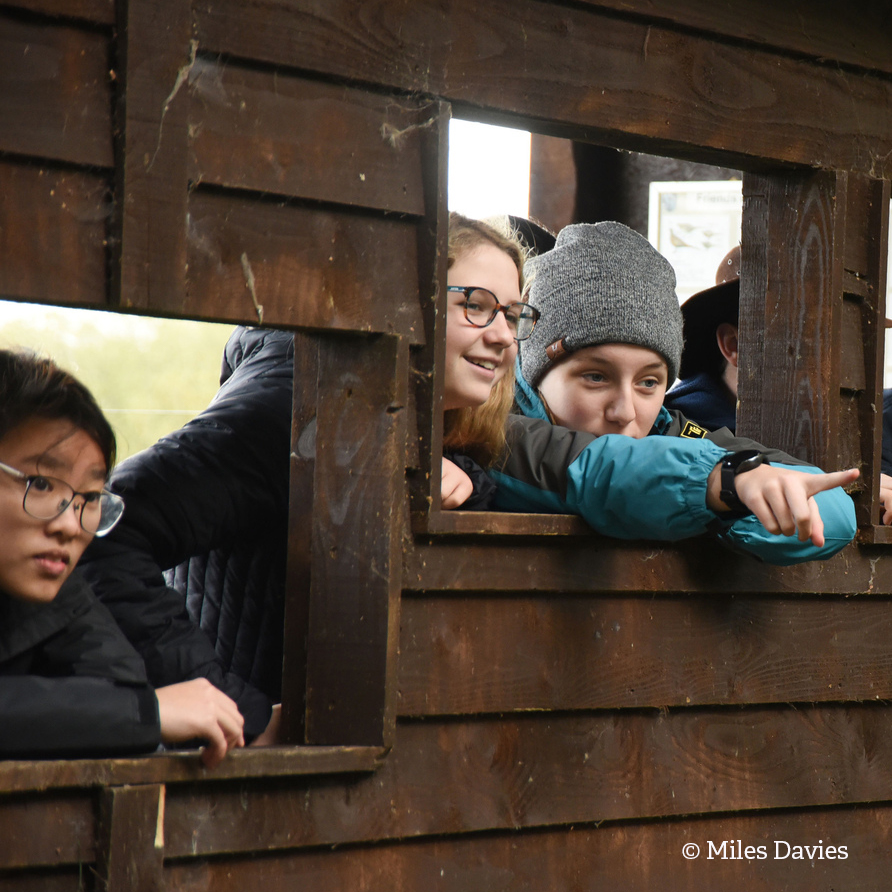 Good news this week - a new Natural History GCSE has been announced. Education has a major role to play in embedding a deeper understanding &amp; love for the natural world in light of the climate &amp; nature emergencies: wildlifetrusts.org/blog/dom-higgi…