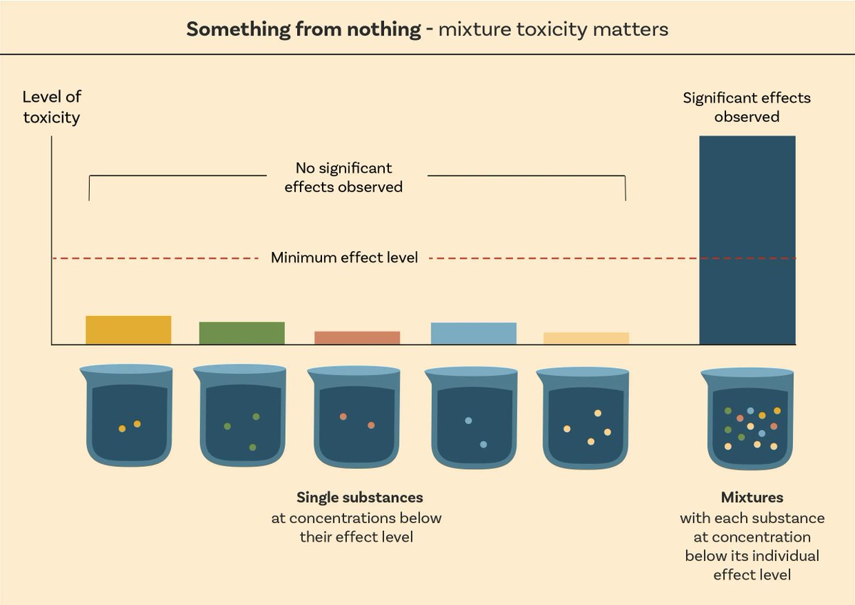 CHEMTrust's tweet image. Decades of research have demonstrated that exposure to real-life mixtures made up of various chemicals individually present at levels considered safe, can trigger adverse effects together. Read more in @CHEMTrust’s new report! 

buff.ly/3J5NglN