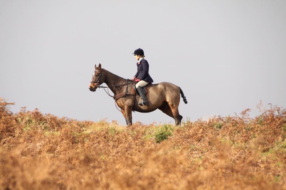 anna hylands tweet media