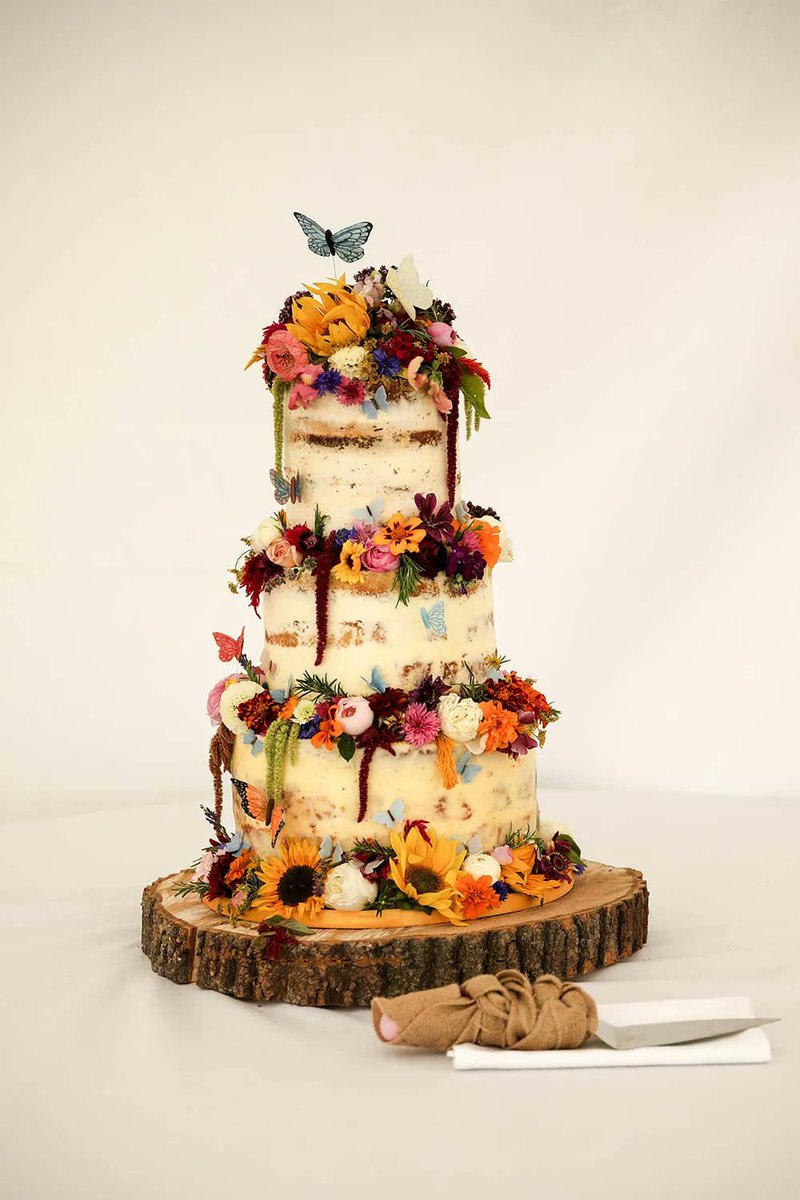 The Wedding Secret tweet media