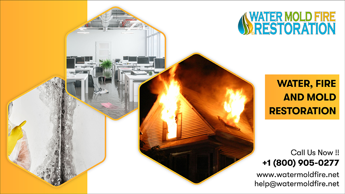 It doesn’t matter how big or small your damage is- we can get you back to your normal routine in no time! Call us!
Call:- 800-905-0277
Mail:- help@watermoldfire.net
Visit:- pos.li/2ia7vo
#postdisasterestoration #disasterrestoration #disaster #restoration #watermoldfire