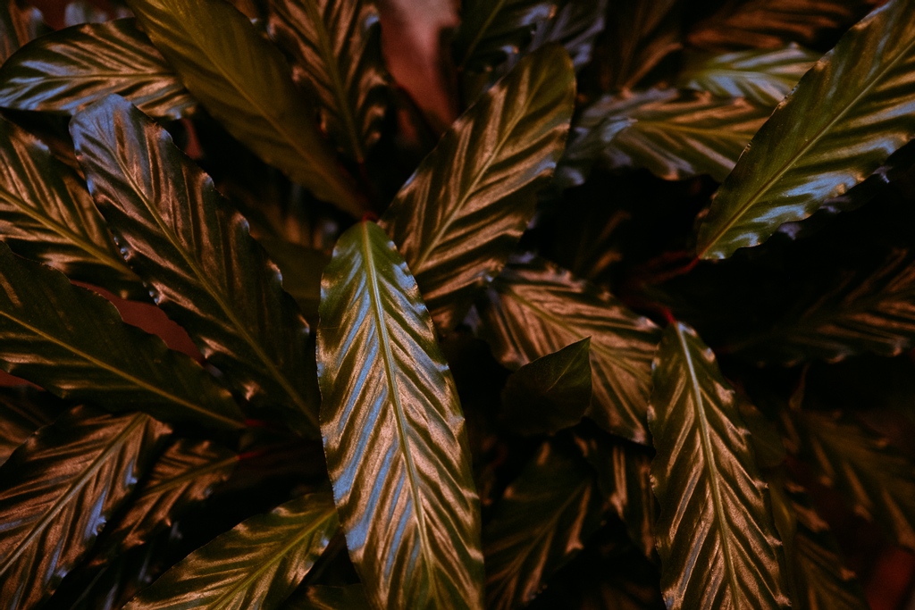 aruleoftum's tweet image. 🎁 We sell gift vouchers!

You can buy gift vouchers for all of our restaurants online, just head to aruleoftum.com scroll to the bottom and click 'Buy a Voucher'

#aruleoftum #giftvouchers