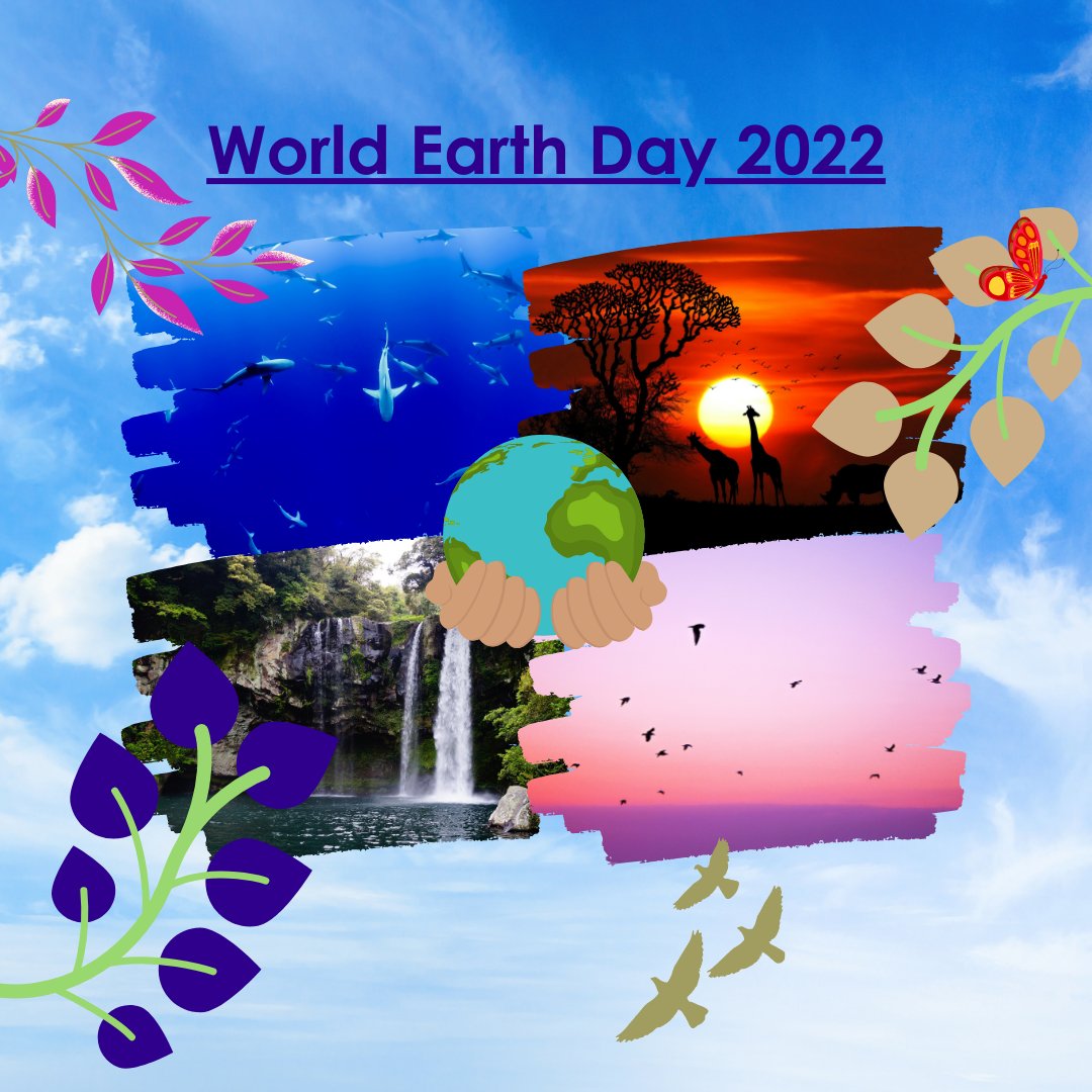 EventSpaceCEME's tweet photo. Our earth is beautiful. On #WorldEarthDay we should all take the time to think of the small changes we can make so it can continue to be beautiful. 🌍🌊🦉  

Find out more here https://t.co/a7ibvVDgHs

#InvestInOurPlanet https://t.co/dQlE39Id97