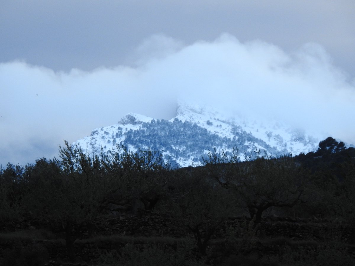 GVA Parcs Naturals tweet media