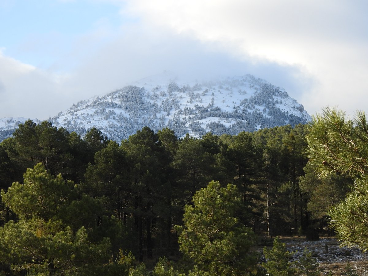 GVA Parcs Naturals tweet media