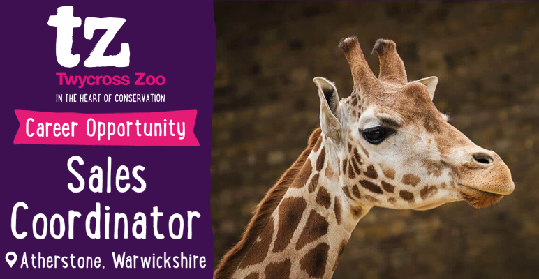 JobsinTourismUK's tweet photo. If you've got amazing customer service skills over the phone, Twycross Zoo want to hear from you! 🐒

Info: https://t.co/dWzen0qQCb  

#JobsinZoos #JobsinTourism #TwycrossZoo #Atherstone #JobsinAtherstone #Warwickshire #GraduateJobs #GradJobs #Customerservicejobs https://t.co/8cczSPWKeP