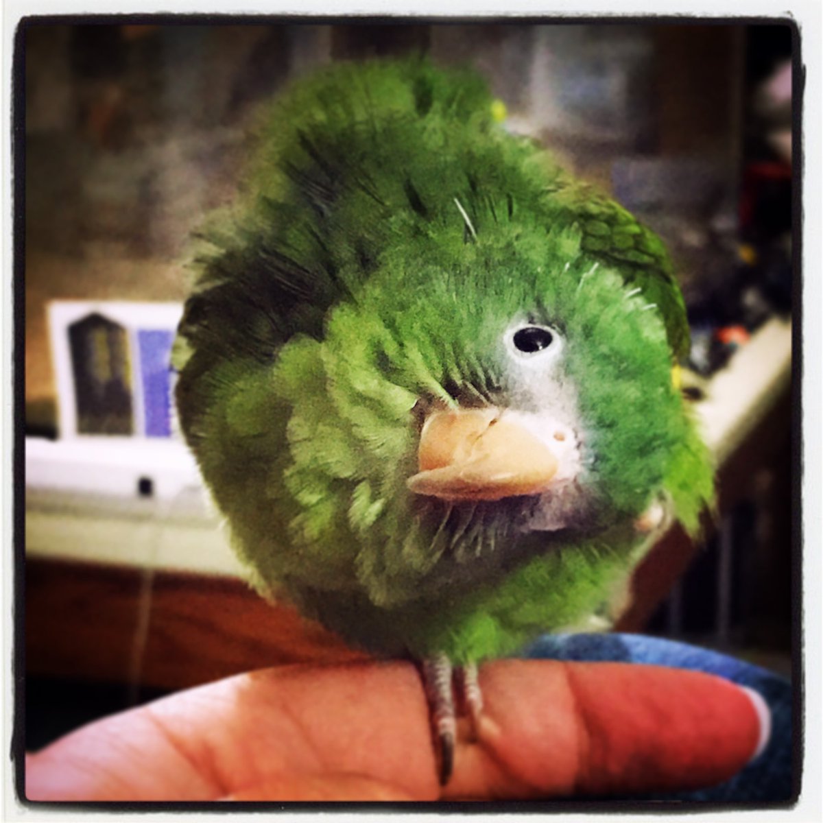 My son is doing a 5k run to support homeless pets. He is working to raise money that goes directly to #pmspca through the #2022pmspcadirtypaws5k Join me in supporting Pope Memorial SPCA of Concord-Merrimack County! givegab.com/campaigns/2022… via <a href="/GiveGab/">GiveGab is now Bonterra</a> #homelesspets #donate