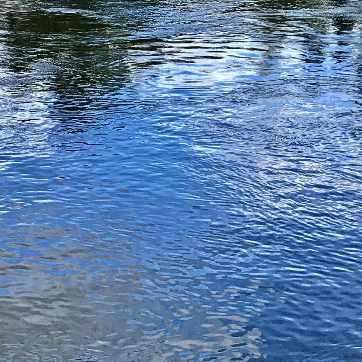 21.4.2022 Su akar, yolunu bulur. L’eau court, trouve son chemin.
#photodujour #photooftheday #water #riviere #river #laloire #nantes