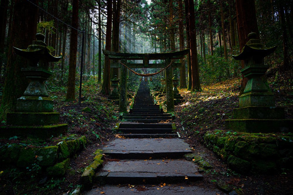 Little_Ziii's tweet photo. @kopokoverse These Japanese forest would be cool! 🙌🏾 https://t.co/pXCJQ7pODT