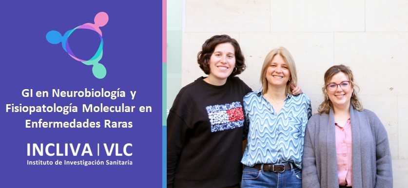 incliva_iis's tweet photo. #IntegrandoTalento El Grupo de Investigación en Neurobiología y Fisiopatología Molecular en Enfermedades Raras -NeuroFisER, liderado por la Dra. Pilar González Cabo, ha sido reconocido como Grupo Emergente de INCLIVA. ¡Enhorabuena! https://t.co/42A2BTP58v