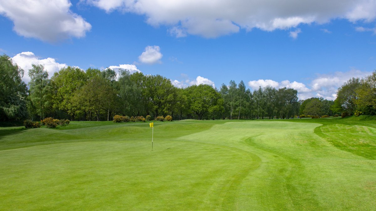 countygolfclub's tweet photo. Ladies are you looking to play in a #GolfOpen this June? We now have limited spaces for our Ladies Spring AM AM Stableford on 10th June. Read more here https://t.co/r1XZy1Cgzl
Please share ๐โณ๏ธ #ladiesgolf #playgolf #opengolfcomps https://t.co/jJ9kDlqLaq